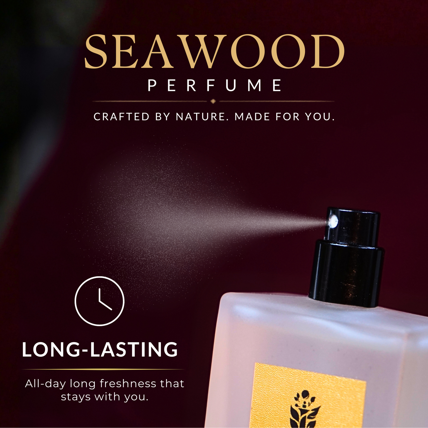 SEAWOOD Premium Eau De Perfume For Men & Women | Long Lasting Fragrance | 50ml